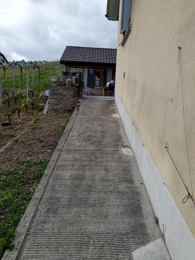 Charmante Maison Au Coeur Du Lavaux, Cully, Cuisine, Wifi, Les Echalas 外观 照片